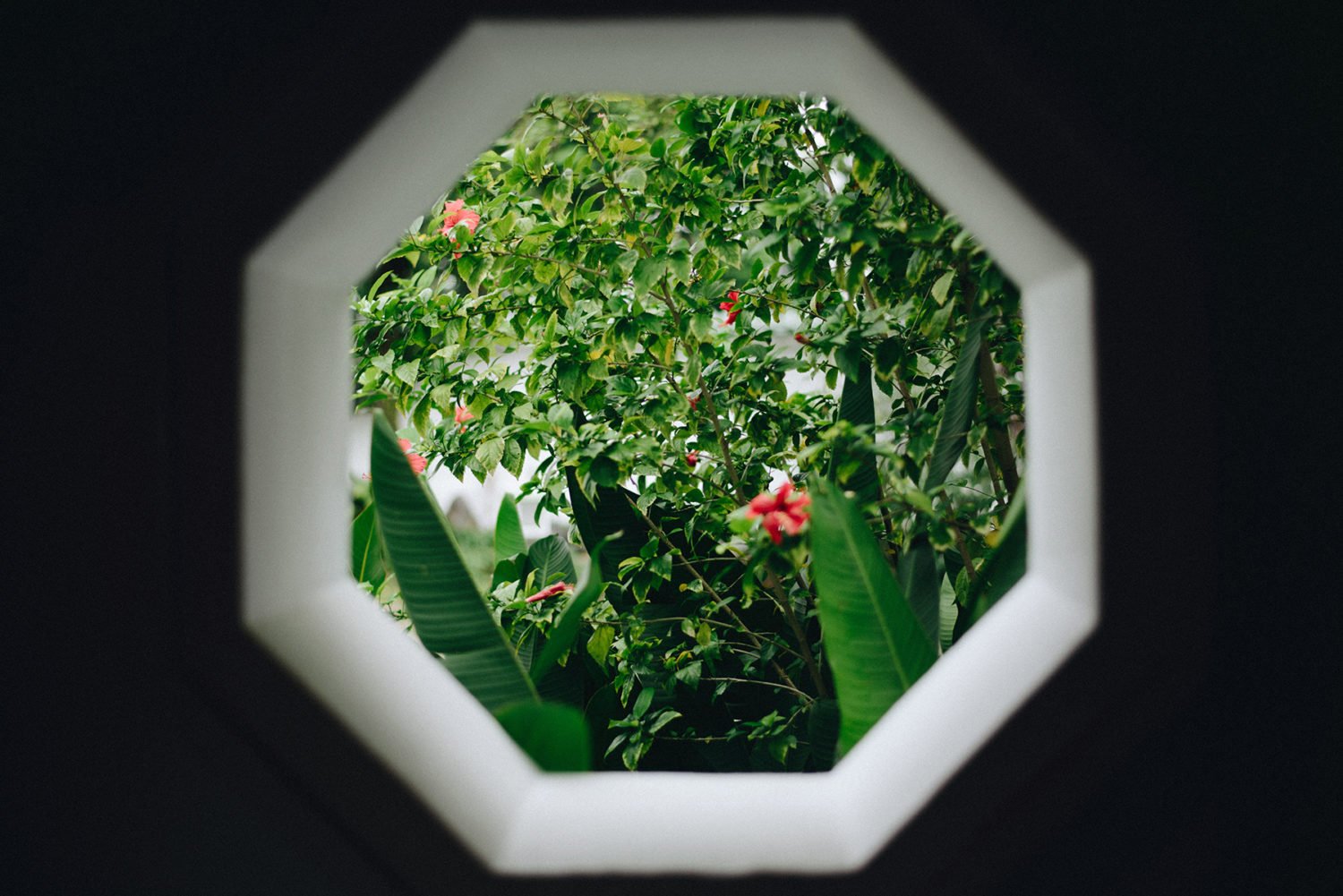 hexagon