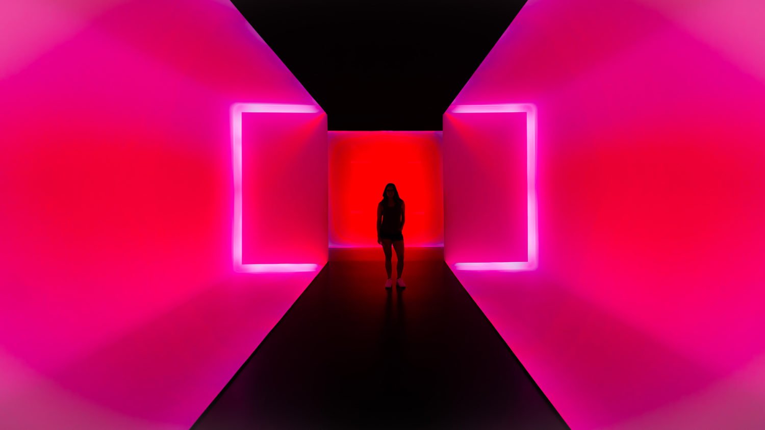 the museum of fine arts