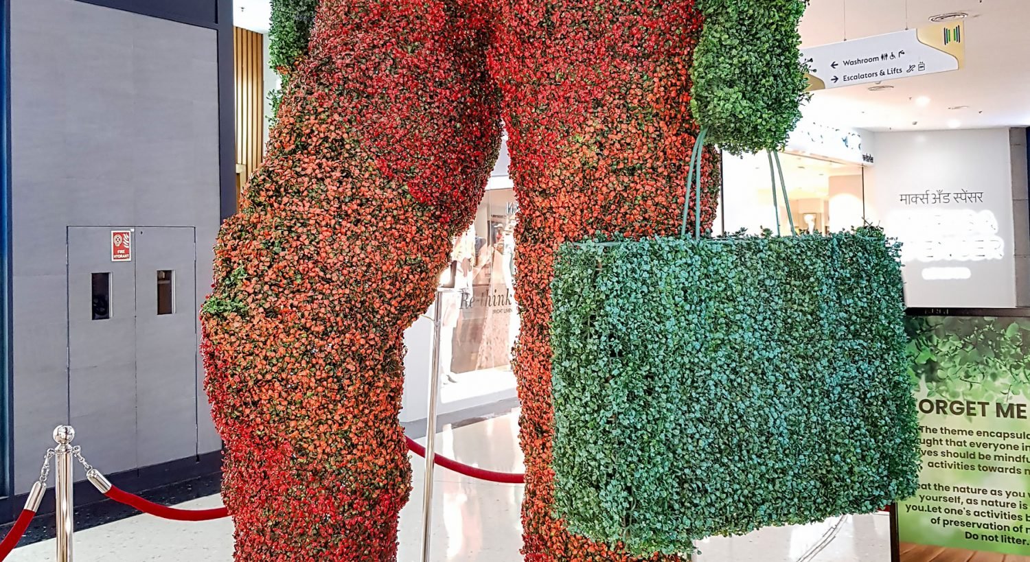 plant man